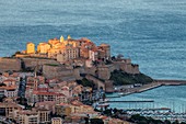 France, Haute Corse, Balagne, Calvi and his Genoese citadel