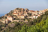 Frankreich, Haute-Corse, Balagne, Blick auf das Dorf Belgodère