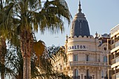 France, Alpes Maritimes, Cannes, the palace Carlton on the boulevard de la Croisette