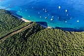 France, Corse du Sud, Freto, Gulf of Santa Manza, Bonifacio, Rocchi Bianchi (aerial view)