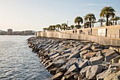 France, Var, Saint-Raphaël, promenade of the garden Bonaparte near the old harbor