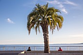 Frankreich, Var, Saint-Raphaël, Promenade des Bonaparte Gartens in der Nähe des alten Hafens