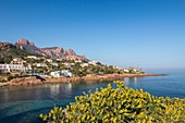 France, Var, corniche of Estérel, Anthéor municipality of Saint Raphaël, the creek of Anthéor seen since the tourist route of the Road of the Mimosa, in background the Saint Pilon and the Cap Roux