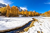 France, Hautes Alpes, Brianconnais in fall, Claree valley, Cerces massif