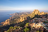 France, Var, Saint Raphael's common Agay, seen since the Cape Roux on the Rock Saint Barthelemy, the summit of the Saint Pilon (442m), the coast of the Corniche of Esterel and in background Antheor and the Cape of Dramont
