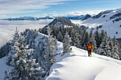 Frankreich, Haute-Savoie, Thollon-les-Mémises, Schneeschuhwanderer auf dem Crête des Ménises