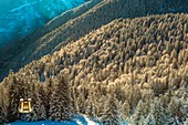 France, Ariege, Ax les Thermes, Ax 3 Domaines, cable cars flying over a snow covered pine forest