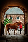 France, Aveyron, listed at Great Tourist Sites in Midi Pyrenees, Rodez, Haras National Rodez, presentation of horses