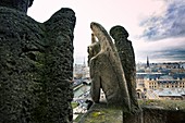 Frankreich, Paris, UNESCO-Weltkulturerbegebiet, Notre Dame de Paris, Blick von den Wasserspeiern