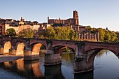 France, Tarn, Albi, the episcopal city, listed as World Heritage by UNESCO, Sainte Cecile cathedral and old bridge over the Tarn
