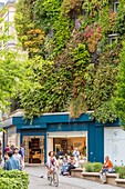 Frankreich, Paris, Stadtteil Sentier, Ecke rue d'Aboukir und rue des Petits Carreaux, L'Oasis d'Aboukir ist eine 250m2 große Pflanzenwand , die von Patrick Blanc entworfen wurde