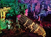 France, Gard, Mejannes le Clap, La Salamandre Cave, colorful fairyland