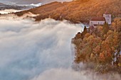 Frankreich, Lot, Lot-Tal, Regionaler Naturpark Causses du Quercy, Saint Cirq-Lapopie, aufgeführt als eines der schönsten Dörfer Frankreichs, Kirche von St. Cirq-Lapopie, die aus einem Nebelmeer im Tal auftaucht