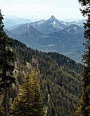 Blick vom Wallberg in die bayrischen Voralpen mit markanten Roß- und Buchstein, Tegernsee, Bayern, Deutschland