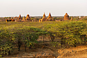 Pagodas in the evening light, Sunset Point in Minnanthu locality, Bagan, Myanmar