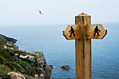 Holz-Wegweiser auf einem Wanderweg entlang der Küste von Pembrokeshire, Wales, Großbritannien