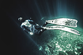 High angle underwater view of diver wearing wet suit and flippers, sunlight filtering through from above.