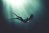 Underwater view of diver wearing wet suit and flippers, sunlight filtering through from above.