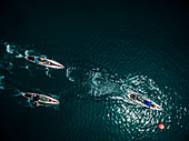 Luftaufnahme einer Gruppe von Personen auf Paddle Boards