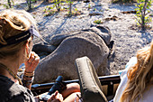 Two people in a jeep looking at a dead elephant carcass.