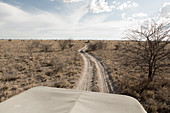 Ein Safari-Jeep auf einer Straße, die sich durch die Landschaft schlängelt