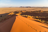 View from Elim Dune in the evening light, Sossusvlei, Sesriem, Namibia