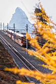Gornergrat Bahn train with Matterhorn on background, Zermatt, canton of Valais, Switzerland