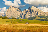 Alpe di Siusi (Seiser Alm), Langkofel- und Plattkofel-Dolomiten, Südtirol, Provinzen Bozen, Trentino-Südtirol, Italien, Europa