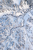 Eine vertikale abstrakte Drohnenaufnahme von dem Wald bei Passo Giau, Dolomiten, Gemeinde Cortina d'Ampezzo, Provinz Belluno, Region Venetien, Italien, Europa