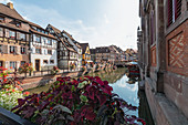France, Alsace, Colmar. Canal in the medieval old town of Colmar