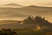 Italien, Toskana, Bezirk Siena, Orcia-Tal, UNESCO-Weltkulturerbe, Podere Belvedere in der Nähe von San Quirico d'Orcia