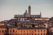 Italien, Toskana, Siena, UNESCO-Weltkulturerbe, der Dom von Siena