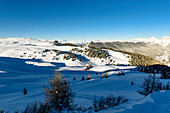 Winterlandschaft im im Skigebiet Seiser Alm, Südtirol, Italien