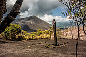 Aschefeld vor dem Vulkan Yasur auf Tanna, Vanuatu, Südsee, Ozeanien