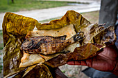Gegrillter Fisch auf Laplap, Efate, Vanuatu, Südsee, Ozeanien