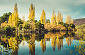 Bäume am See im Herbst, Mt. Field National Park, Tasmanien