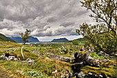 Wanderung in den Lofoten, Norwegen, Europa