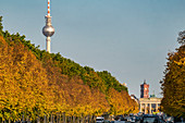 Straße des 17. Juni, herbstlicher Tiergarten, Alex, Fernsehturm, Berlin, Deutschland