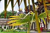 Hermitage, Bayreuth, UNESCO World Heritage Site, park, palm tree, Upper Franconia, Bavaria, Germany