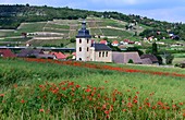 Poppy field near Freyburg an der Unstrut, landscape, church, vineyards, meadow, Saxony-Anhalt, Germany