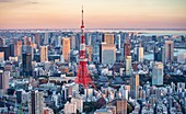 Japan ,Tokyo City, Minato Ku skyline, Tokyo Tower