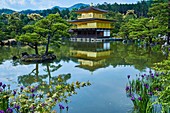 Japan, Honshu island, Kansai region, Kyoto, Kinkaku-ji temple or golden temple