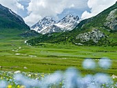 Landschaft im Besch-Tasch-Nationalpark im Talas-Alatoo Gebirge, Tian Shan oder Himmlischen Bergen, Asien, Zentralasien, Kirgisistan