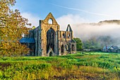 Die Ruinen der Zisterzienserabtei von Tintern aus dem 12. Jahrhundert im Wye Valley, Wales, Großbritannien, Europa