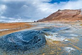 Geothermal field of Hverir, Northwestern Region, Iceland