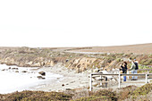 Tourists on observation deck to watch sea lions on Highway 1, California, USA.