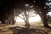 Picnic table in the evening light in a parking lot near Big Sur on Highway 1, California, USA.