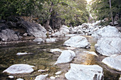 Steine und Felswände des Big Sur River im Pfeiffer Big Sur State Park, Kalifornien, USA.