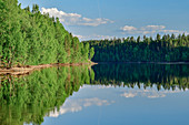 Ein See mit Waldufer in der Nähe von Junsele, Norrbottens Län, Schweden