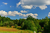 Pasture and forest by a pond, near Smålandsstenar, Jönköpings Län, Sweden